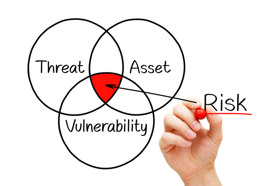 Risk Vulnerability