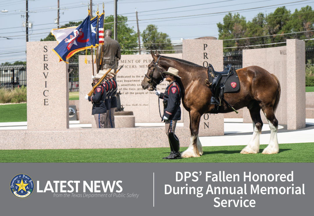 DPS Riderless Horse