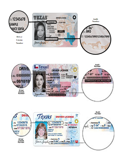 DL/Audit Magnified