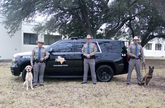   DPS Canine Handlers