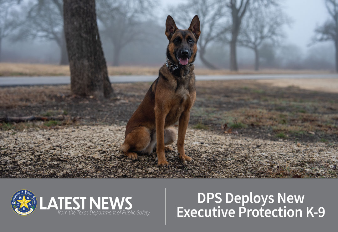 DPS Deploys New Executive Protection K-9 