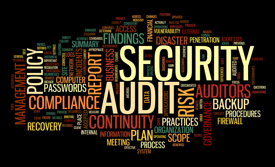 security audit picture