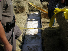 Trooper found two wooden compartments of marijuana hidden in between the load of hay