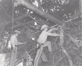Highway Patrol troopers assessing damage after the Wichita Falls tornado in April 1979.